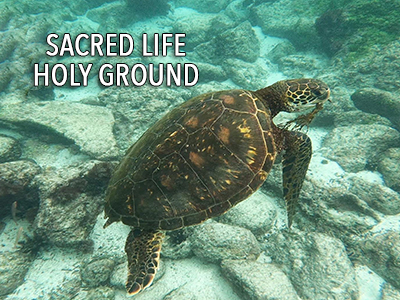 Sacred Life - Holy Ground